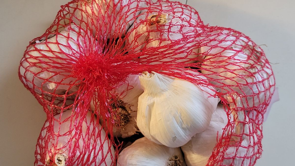 Jak odróżnić polski czosnek od chińskiego? Zwróć uwagę na ten szczegół