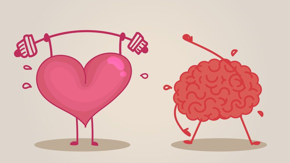 Trening cardio poprawia pracę serca i mózgu 