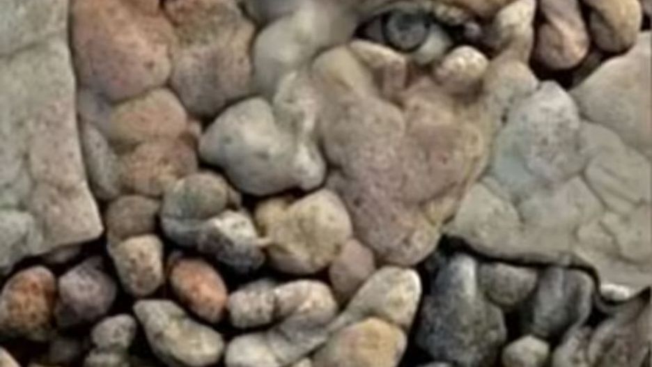 Szybki test obrazkowy. Liczy się pierwsza odpowiedź