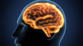 7 nawyków, które niszczą mózg (WIDEO)