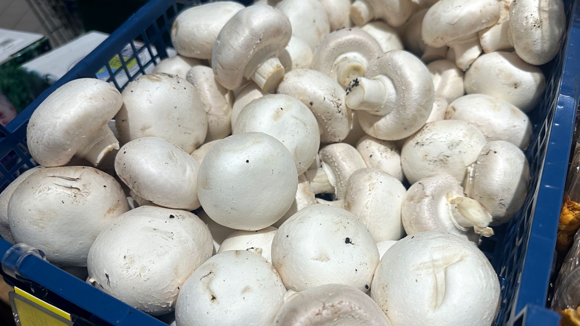 Pieczarki to niskokaloryczne grzyby bogate w wartości odżywcze, które korzystnie wpływają na zdrowie.