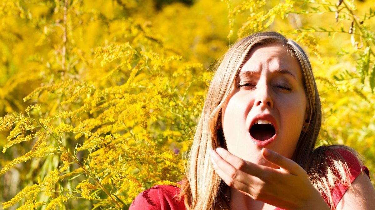 Alergeny w środowisku