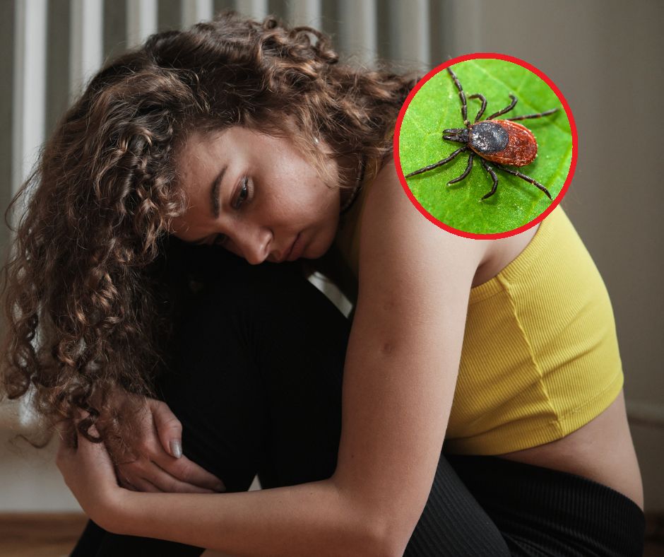 Małe ukłucie, wielki problem. Objawy neuroboreliozy atakują nocą