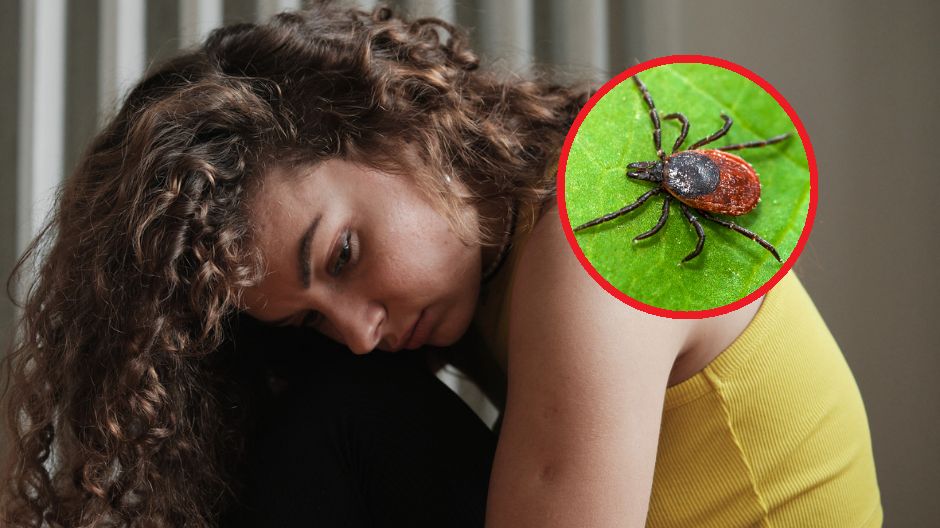 Niewiele osób zdaje sobie jednak sprawę z tego, że istnieje postać neurologiczna boreliozy