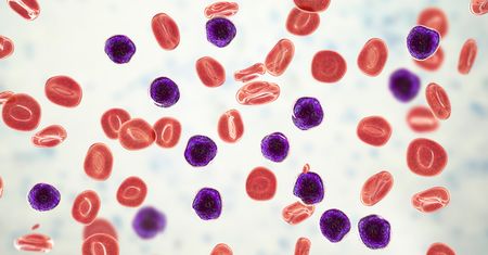 Apoptoza – zaprogramowana śmierć komórki