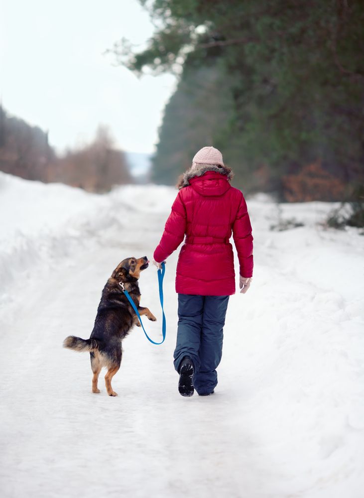 Spacery na łonie przyrody mogą łagodzić objawy depresji.