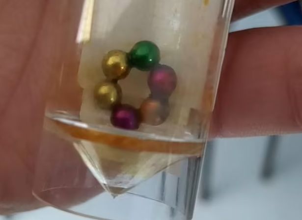 Kulki wyciągnięte z jelit