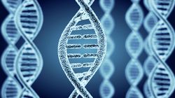 Cyklopia (jednoocze) - przyczyny, objawy, cyklopia u zwierząt