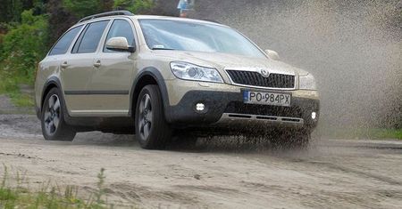 Octavia Scout: na każdą okazję