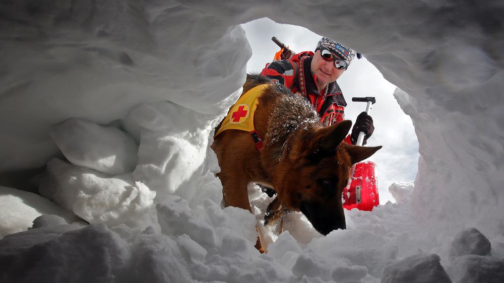 Śmiercionośna siła lawiny. Czy człowiek może z nią wygrać?