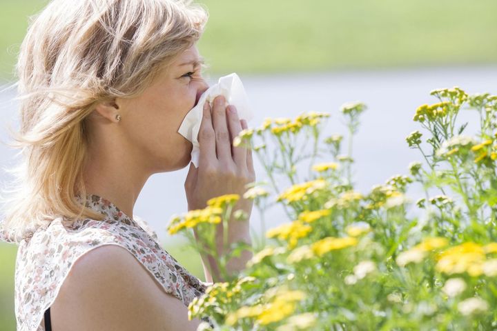 Pyłek kwiatowy może stanowić doskonałe uzupełnienie zdrowej diety