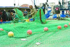 Rybacy chcą zmian w podziale limitów na dorsze