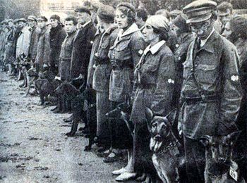 Ośrodek szkolenia psów przeciwpancernych pod Moskwą, rok 1931 