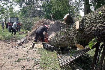 Usuwanie skutków burzy w powiecie radomskim