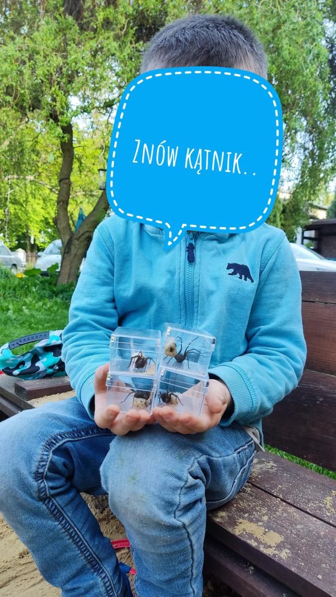 Synek Konrada Kuracha ze złapanymi w piaskownicy kątnikami 