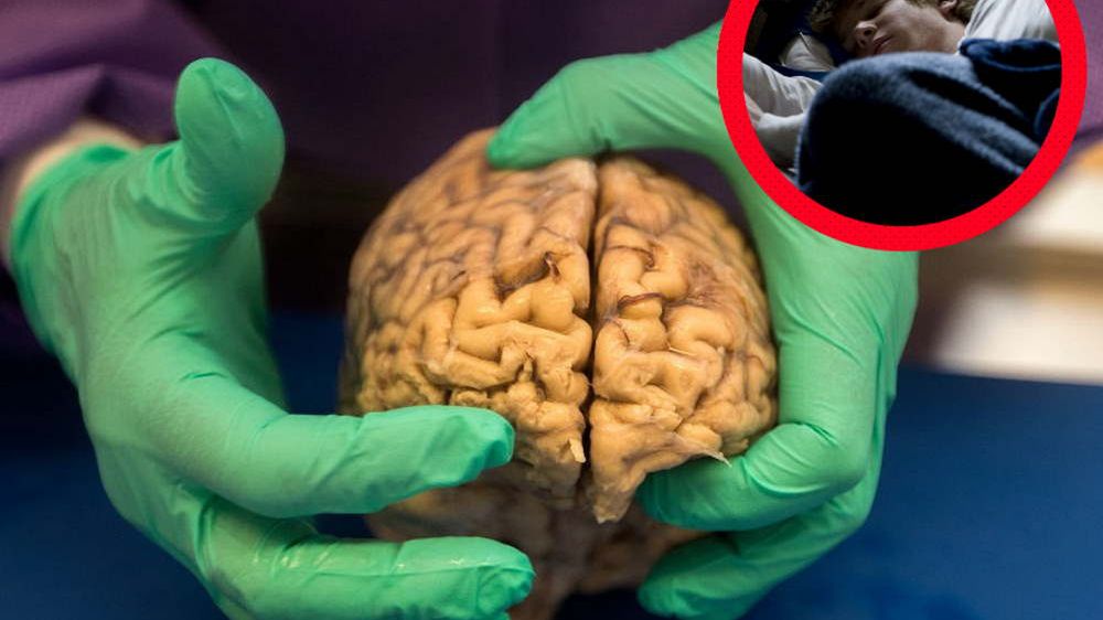 5 nawyków, za które podziękuje ci mózg