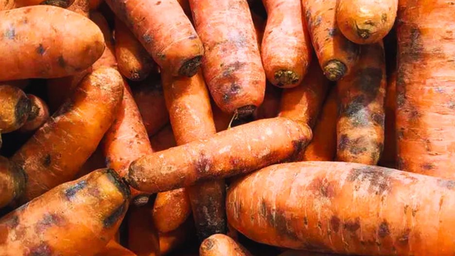 Koszmarny nawyk w kuchni. Możesz uszkodzić wątrobę i nerki