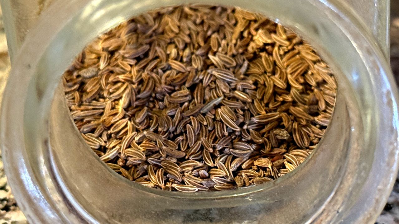 Kminek nie tylko na wzdęcia. Często jest ważniejszy niż sam skład potrawy