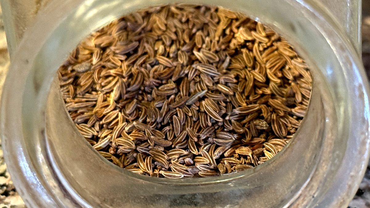 Kminek może odczuwalnie wpływać na to, jak organizm reaguje po posiłku.