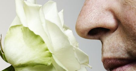 Anosmia – przyczyny, diagnostyka i leczenie utraty węchu