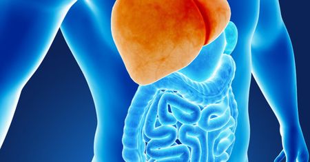 Trzustka je uwielbia. Wymiata toksyny i zbija cholesterol