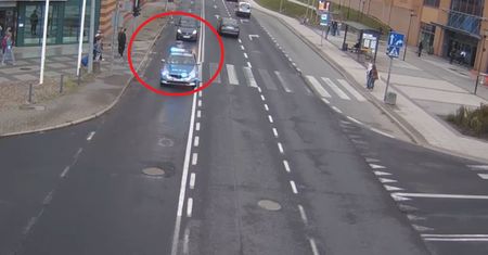 Szerszeń użądlił dziecko. Policja pokazała nagranie z akcji ratunkowej