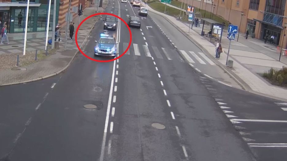 Dziecko ugryzł szerszeń. Policja pokazała nagranie z akcji ratunkowej