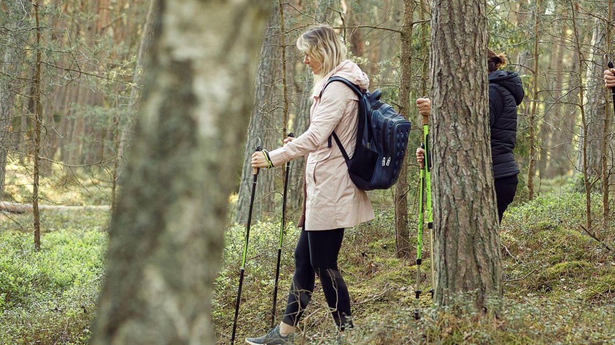 Ile kroków należy robić dla zdrowia mózgu?
