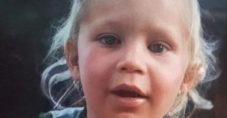 Roczne dziecko przetrwało 3 dni w lesie pełnym wilków i niedźwiedzi