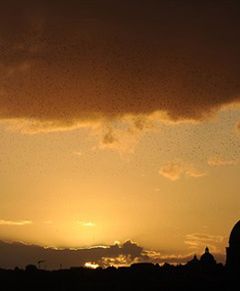 Inwestycja Watykanu przy bazylice św. Pawła nielegalna?