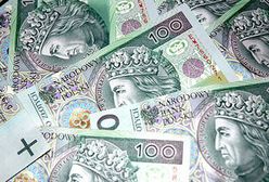 Podatnicy chcą się karać