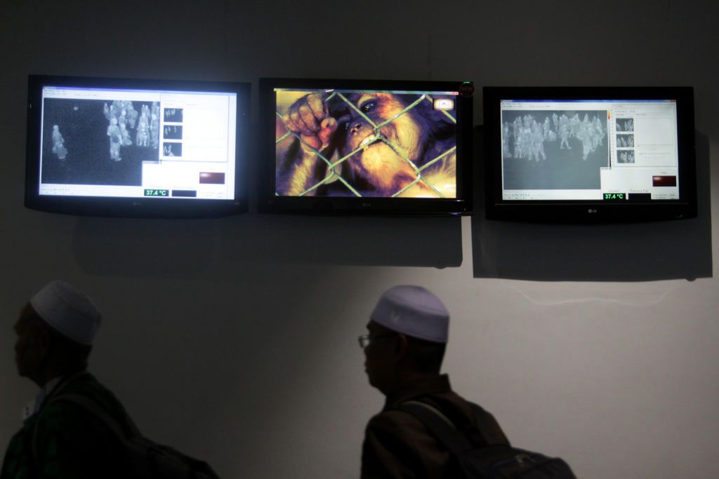 Małpia ospa to rzadka, odzwierzęca choroba wirusowa. Zwykle występuje w zachodniej i środkowej Afryce