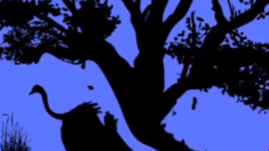 Spójrz na obrazek, a poznasz swoją osobowość. Liczy się pierwsze wrażenie