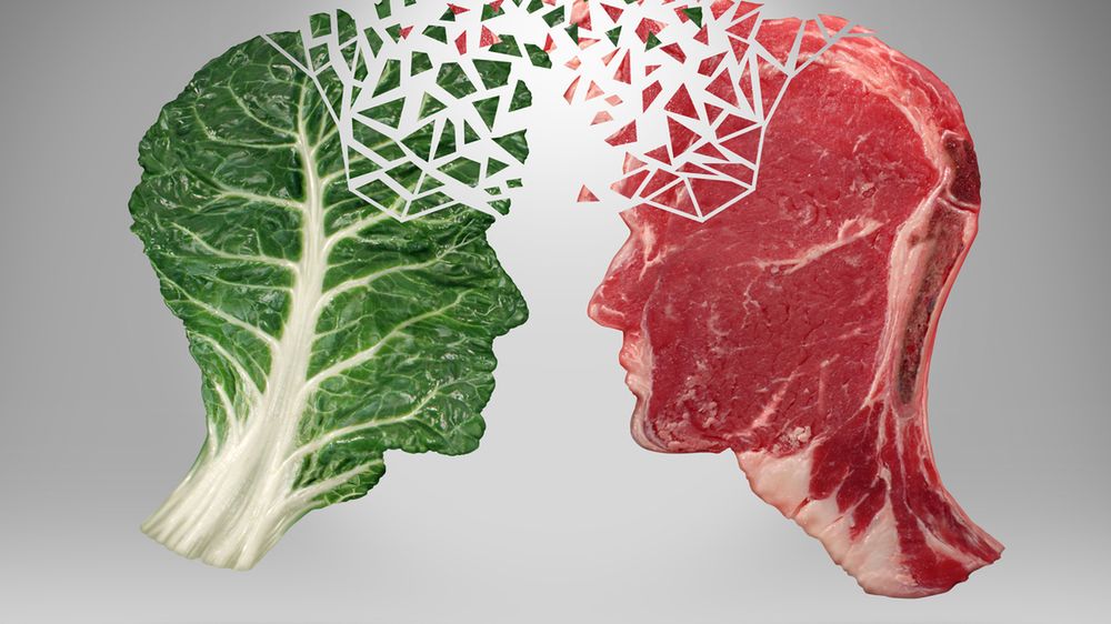 Białka zwierzęce i roślinne różnią się od siebie, ale wszystkie są niezbędne dla organizmu