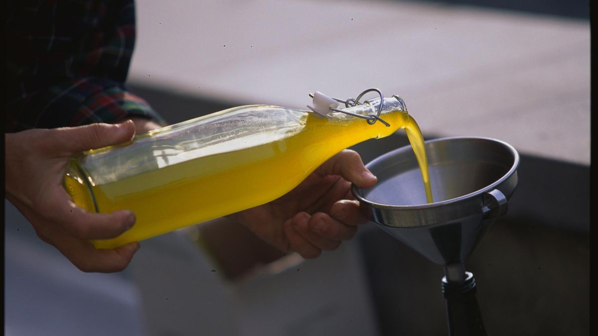 Oliwa z oliwek lekiem na raka?