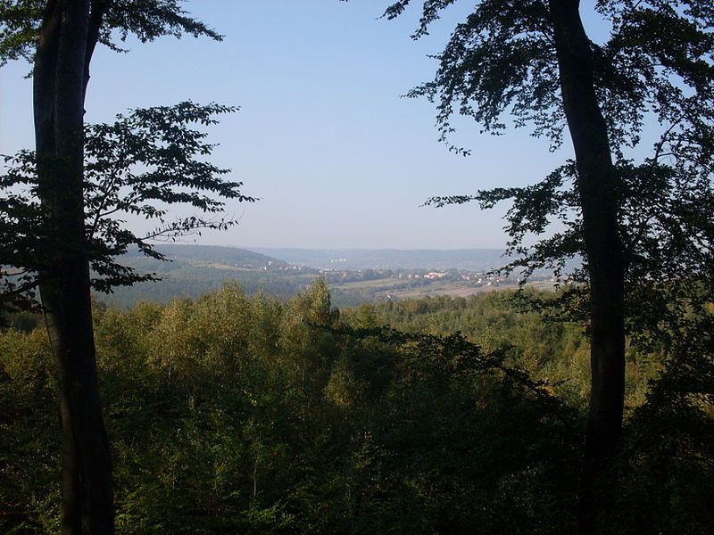 Obraz