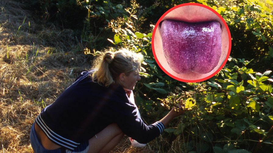 Jedzenie niemytych owoców to częsty "grzech" Polaków. Można zniszczyć wątrobę, mózg