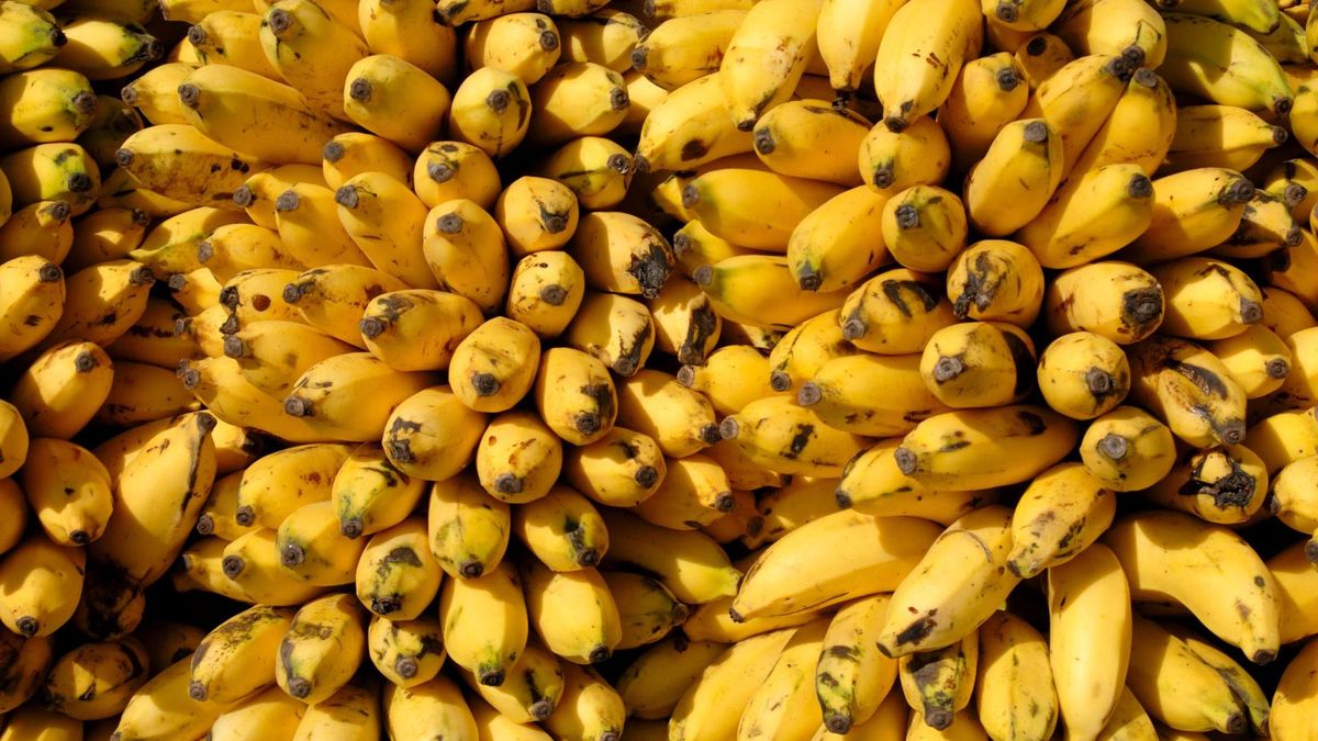 Potas dostarczamy do organizmu wraz z dietą. Jego nadmiar może mieć poważne konsekwencje.