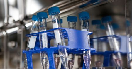 Nowa ustawa o in vitro uderzy w singielki