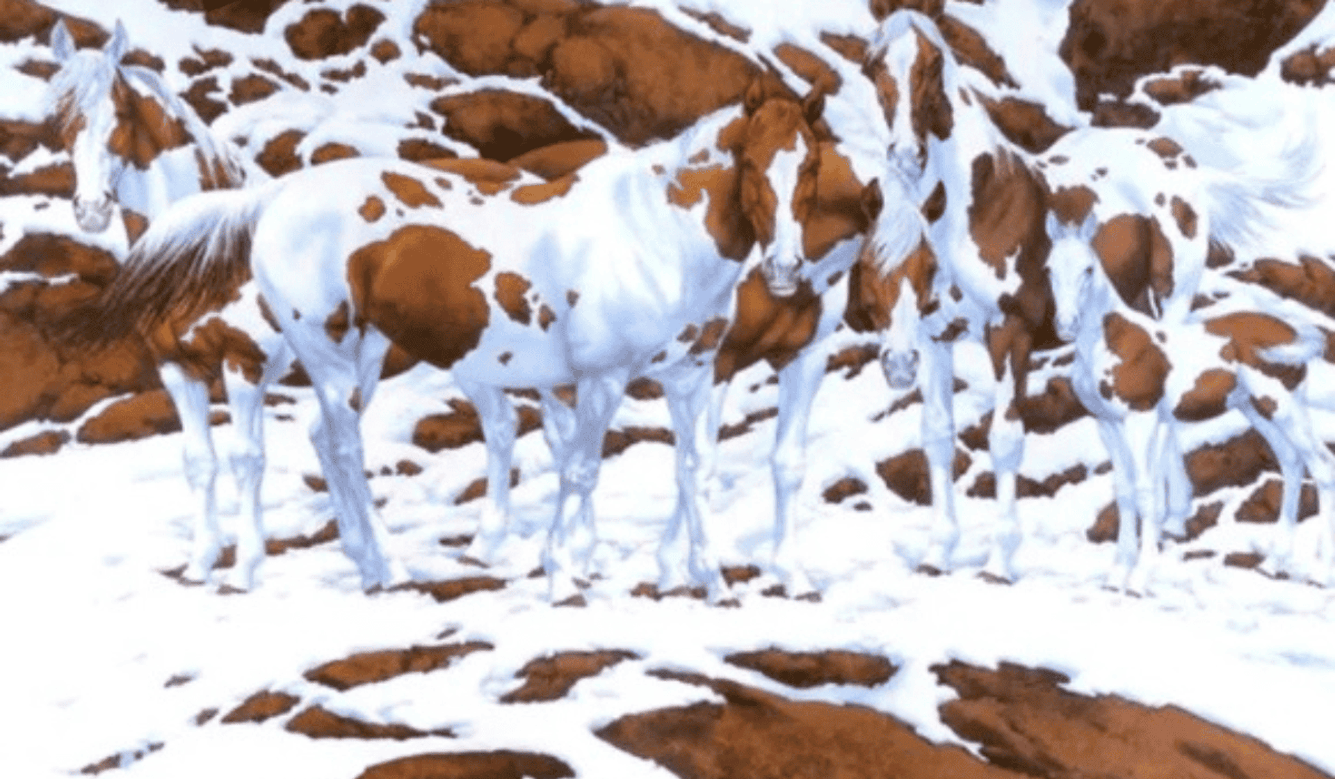 Ile koni znajduje się na obrazku?