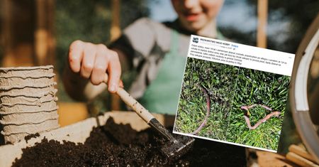 14-latek rozkręca nietypowy biznes. "Takich ludzi to trzeba szanować"