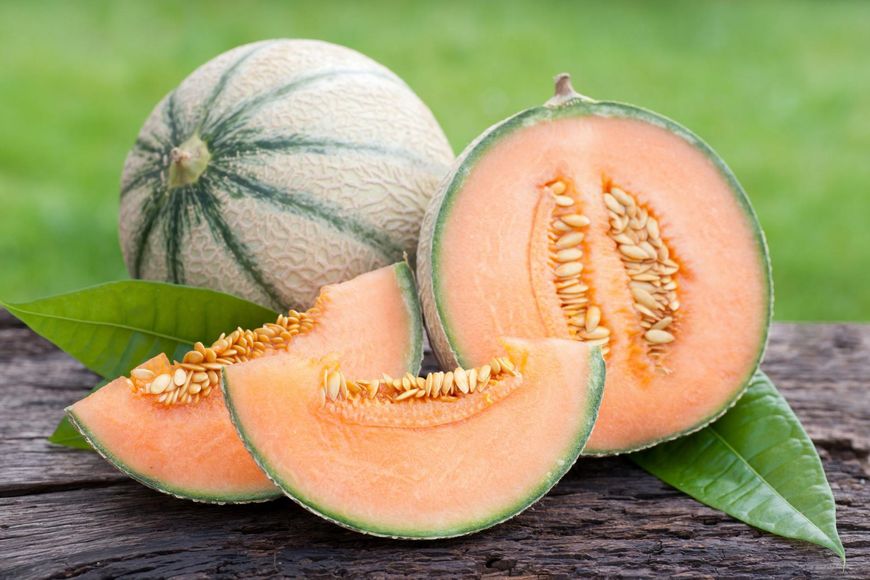 Melon