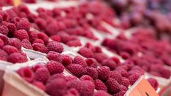 Co się dzieje w organizmie, gdy regularnie jesz maliny?