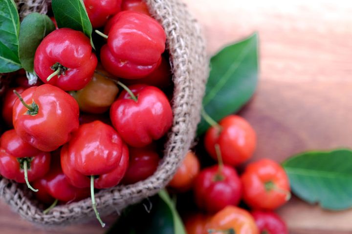 Acerola, określana mianem wiśni z Barbadosu, jest rośliną wywodzącą się z Wysp Karaibskich. W sposób naturalny rośnie także na terenach Ameryki Północnej, Ameryki Środkowej, a także Ameryki Południowej.