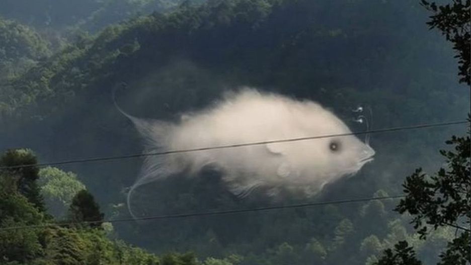 Ryba czy chmura? Test obrazkowy podbija TikToka