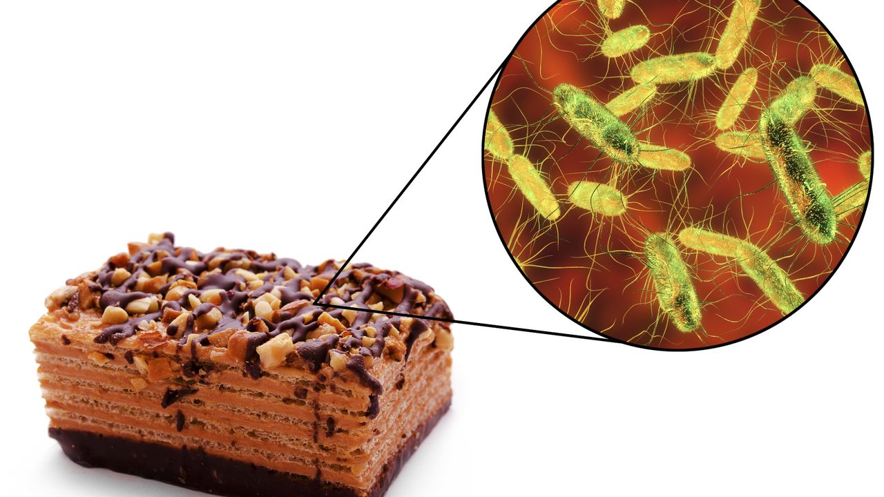 Błędy, które narażają na zakażenie salmonellą. Sprawdź, czy je popełniasz (WIDEO)