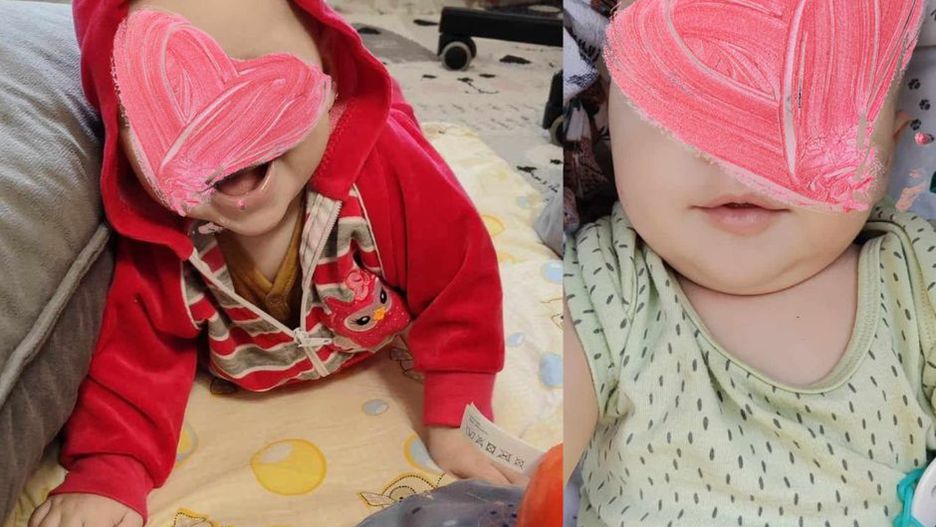 Maluszek po przejściach szuka zastępczej rodziny