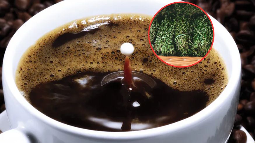 Kawa z rozmarynem. Ten smak i właściwości cię zaskoczą