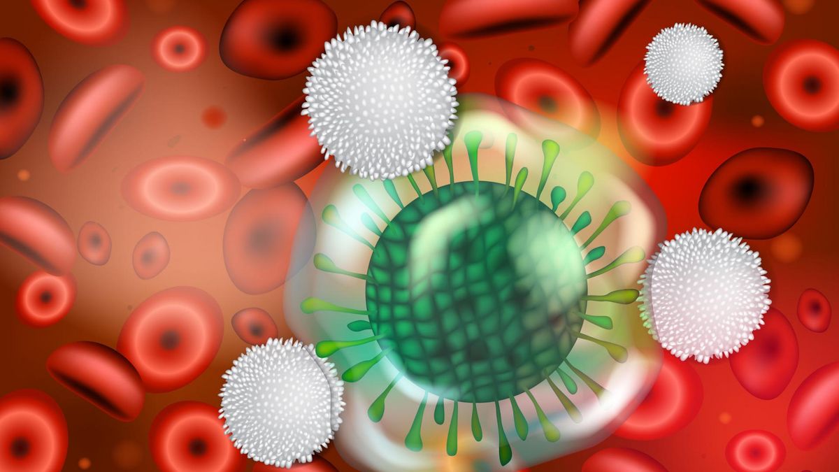 Limfocyty atypowe zwykle są sygnałem alarmowym, informującym, że w organizmie toczy się jakaś infekcja lub stan zapalny.