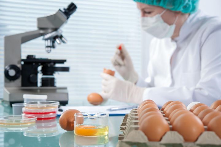 Jajka skażone salmonellą są niebezpieczne dla zdrowia. 